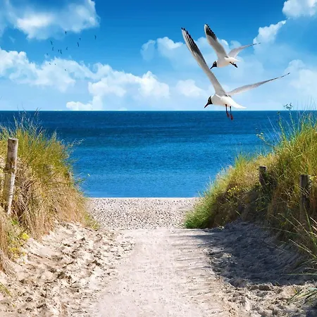 بيت للعطل Geraeumiges Skandinavisches Großenbrode